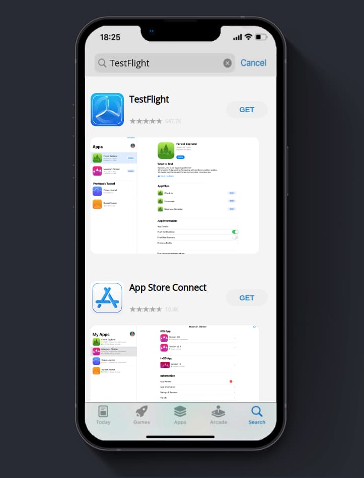 Apple App Store search results for term: TestFlight