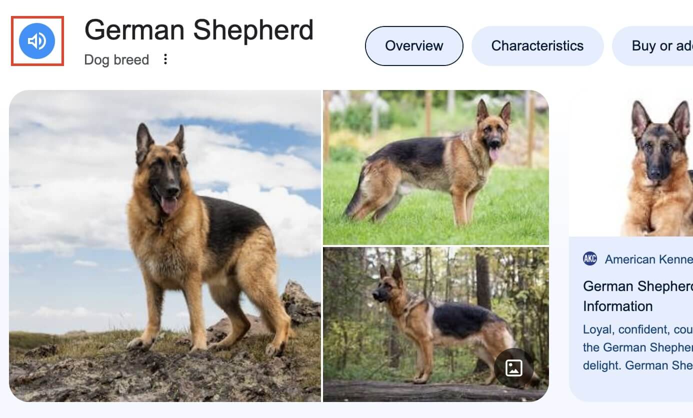 Results for: German Shepherd