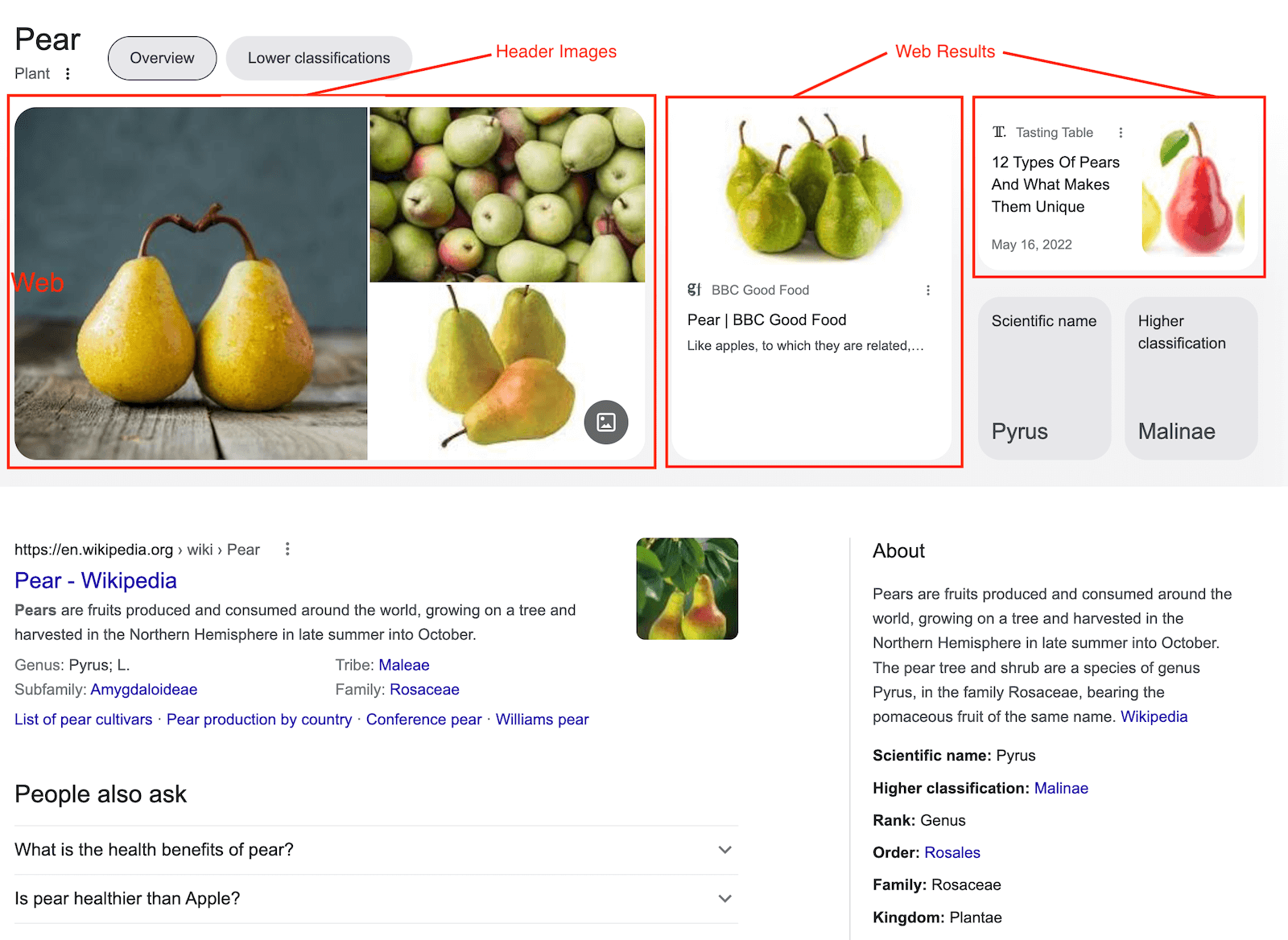 Results for: Pears