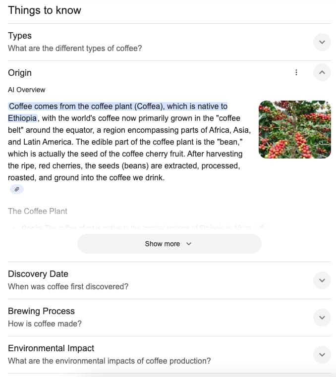 Example with AI Overview: Coffee