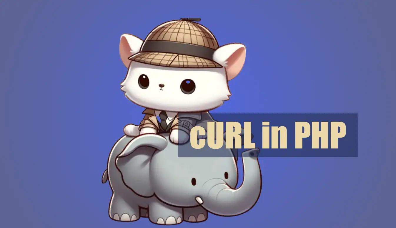 How To Use CURL In PHP