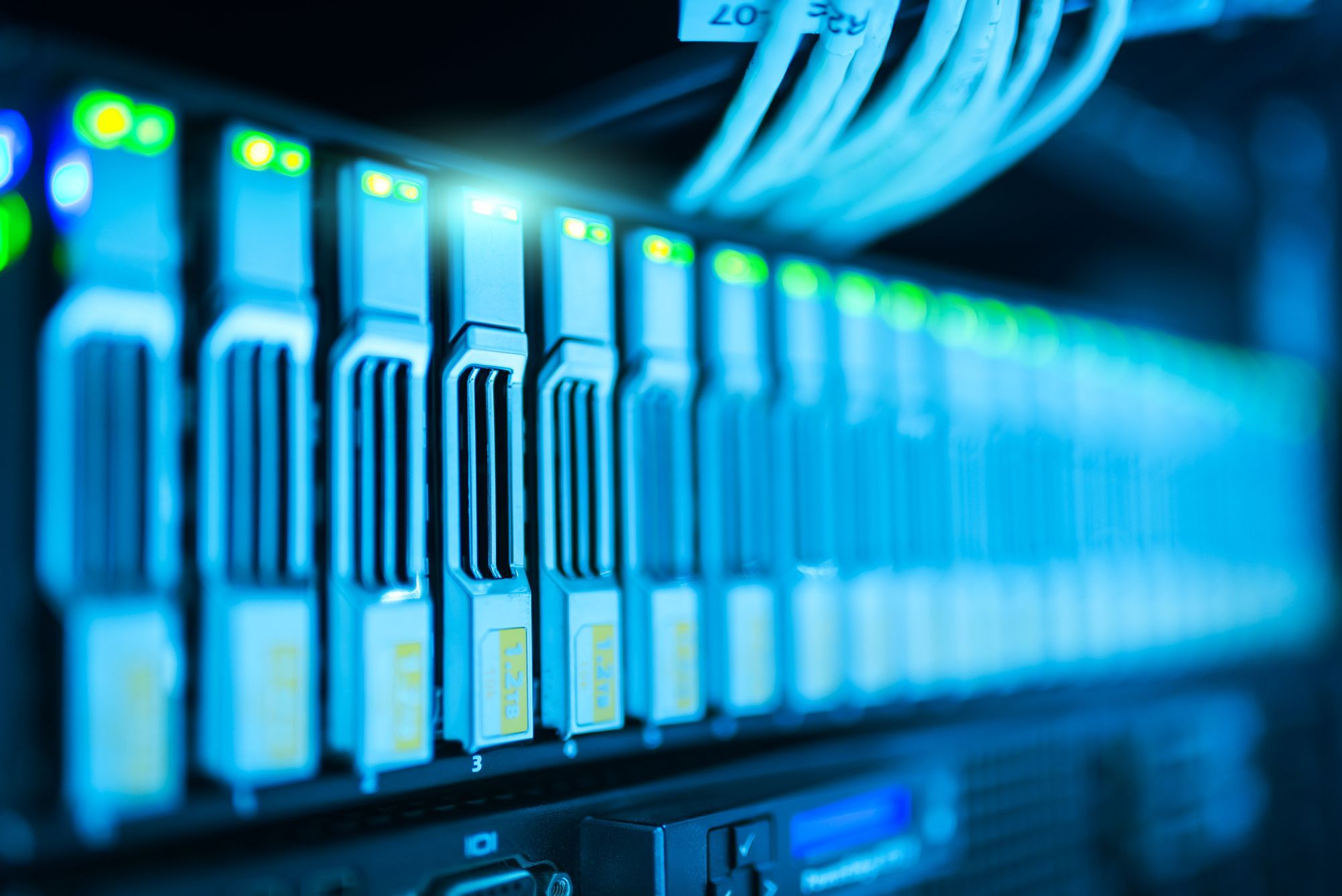 Scrape Google Images to Create Custom Database with SerpApi