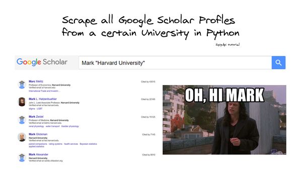Scrape Google Scholar Profiles from a certain University in Python