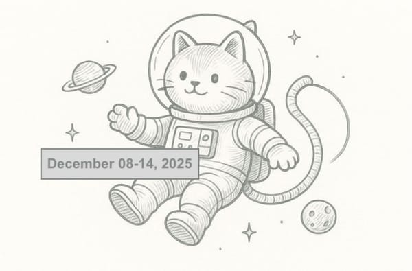 SerpApi Weekly Changelog: December 08-14, 2025