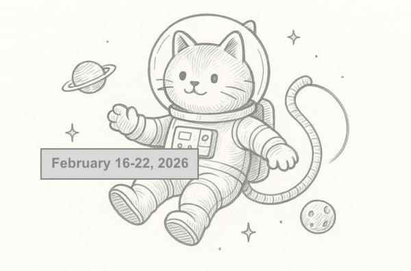 SerpApi Weekly Changelog: February 16-22, 2026