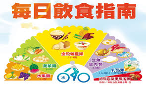 Health Eat 均衡餐盤(健康營養防護罩)