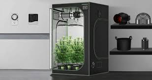 Best Grow Tent Kits Of 2026 - I Love Growing Marijuana
