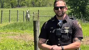 Escaped zebra Zack caught by Licking County sheriff's deputies