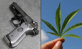 Another Federal Court Rules That Banning Marijuana Consumers From Possessing Guns Is Unconstitutional - Marijuana Moment