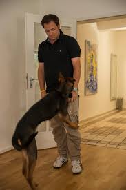 Martin Rütter Akademie - DOGS Partnerin Conny Sporrer (Martin Rütter DOGS Wien, www.martinruetter.com/wien) antwortet wieder auf Leserfragen zum Thema #Hundeerziehung im Magazin „MEIN HUND & ich“ "Wir haben unseren Hund – ein