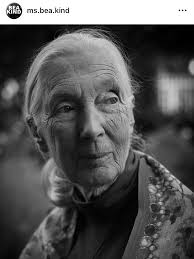With a heavy heart, we say goodbye to our beloved friend to humanity and  the animal kingdom.💔🙏🌎 Rest In Power Dr. Jane Goodall! 🕊️ 1934—2025 •••  [Slide 1] #RickFraustoFineArt Jane Goodall Portrait,