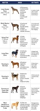 Dog Breeds for Backpacking and Trail Running - The Great Outdoors Stack Exchange
