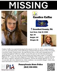 Candice Caffas was reported missing by her parents on July 16, 2022, at approximately 3:10 a.m. from their home in the 9100 block of Mount Pleasant Road in Union Township, Crawford County,