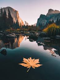 I'll never forget the first time I shared this photo. For whatever reason, it quickly went viral on Reddit and sparked weeks of debate about whether I should've had the leaf in