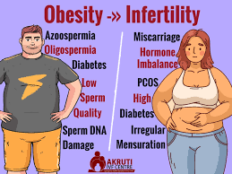 Infographic on how obesity may contribute to male and female infertility