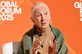How Jane Goodall Spent Her Final Days and Her Thoughts About Retirement