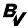 bvshop.us