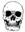 Everything Skull