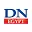 Dailynewsegypt