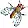 FlyBase