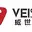 VSDMotor