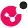 Check Point Software