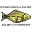 International Pacific Halibut Commission