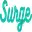gowithsurge.com