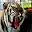 uofmtiger.com