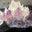Million Years Crystal