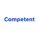 Competent HR Consultancy