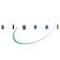 Signet Jobs