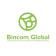 Bincom Global logo