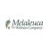 Melaleuca