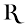 The Rumpus