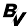 bvshop.us