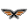 parrotpilots.com