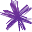 Spark NZ