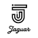 JAGUAR ESPRESSO SYSTEMS logo