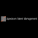 Spectrum Talent Management