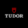 Tudor Employmet