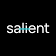 Salient Group logo
