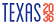 Texas2036