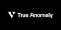 True Anomaly. Inc.