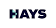 Hays Senior Finance logo