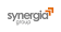 Synergia Group