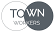 Town Worker