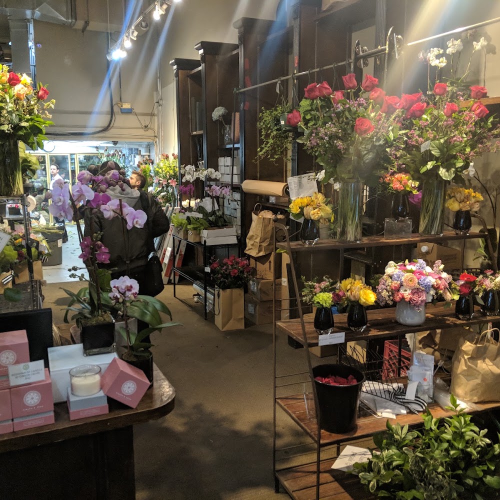 Scotts Flowers NYC