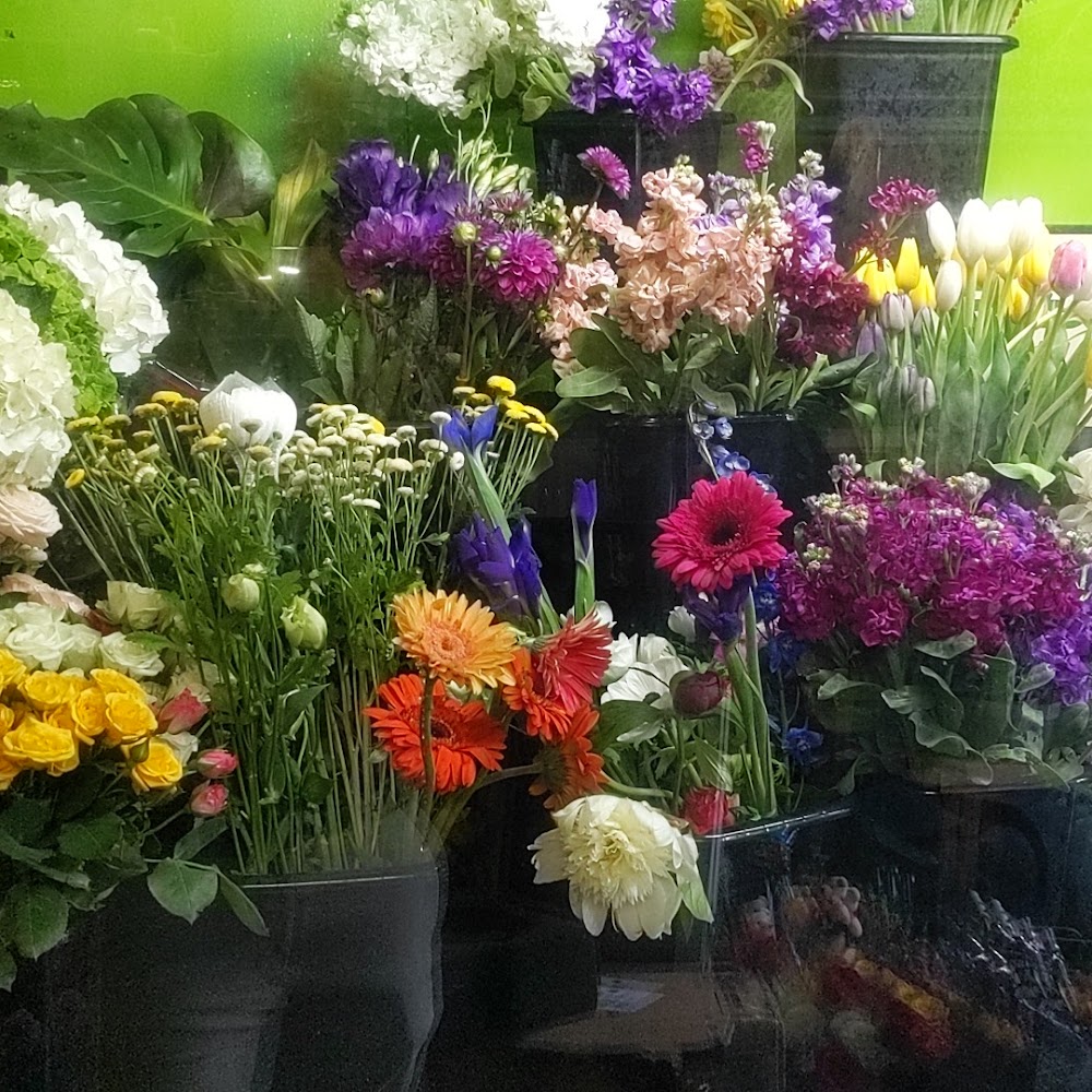 Nostalgia Flowers and Gifts