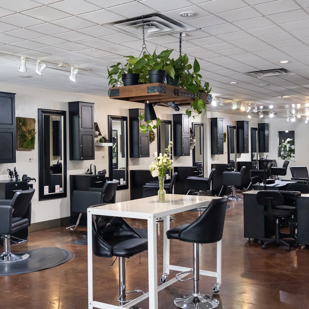 Studio: A Collective Of Stylists